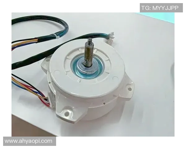 赵静独家分享篮球心得与技巧助你提升球技的全面指南